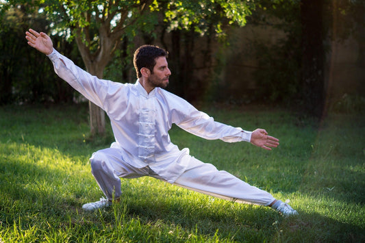 The Soul of Tai Chi: A Beginner's Guide to Taoism's Moving Meditation - karmafu